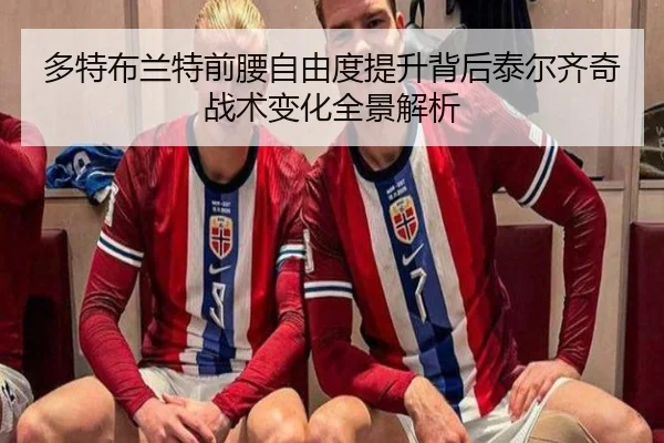多特布兰特前腰自由度提升背后泰尔齐奇战术变化全景解析